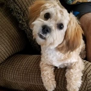 Meet your Posher, Larry